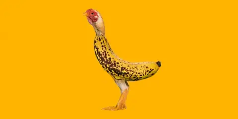 Is “Chicken Banana” the New ‘67’ Meme?