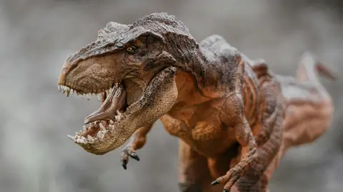 What Scientists Found Inside a Giant Dinosaur Will Shock You